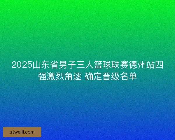 2025山东省男子三人篮球联赛德州站四强激烈角逐 确定晋级名单