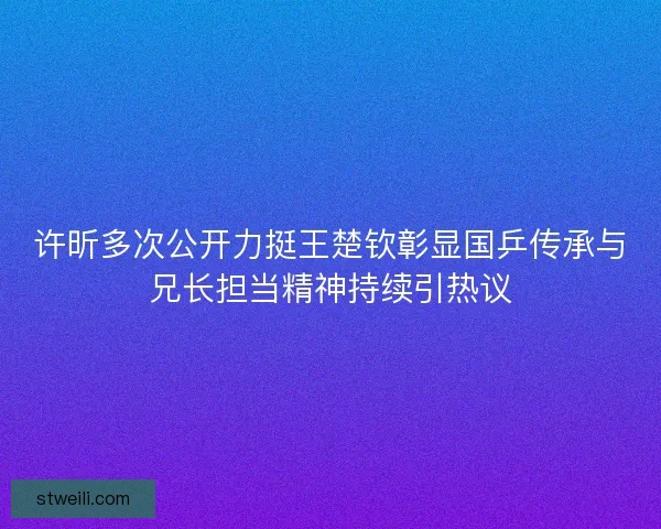 许昕多次公开力挺王楚钦彰显国乒传承与兄长担当精神持续引热议