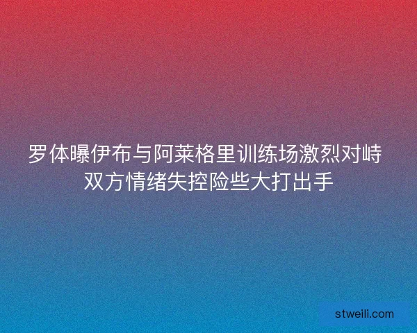 罗体曝伊布与阿莱格里训练场激烈对峙 双方情绪失控险些大打出手